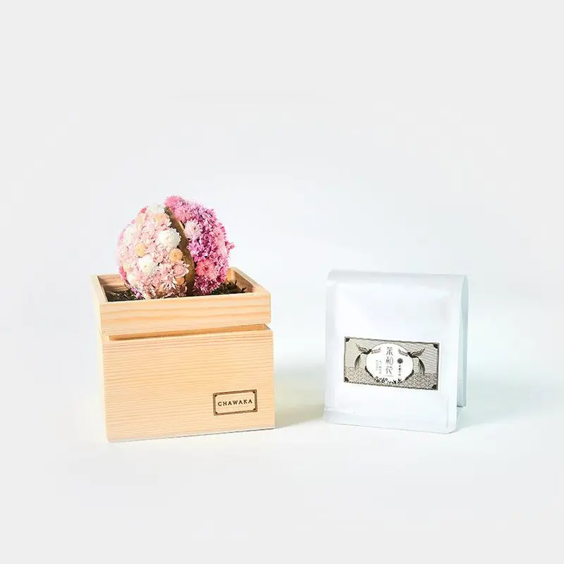 Chawaka Mari & Sencha Gift Set – Sakura Blossom Edition Featuring Premium Uji Tea 1