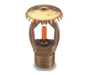 Globe Gl5615 Qr Series Rough Brass Upright Sprinkler Head 1