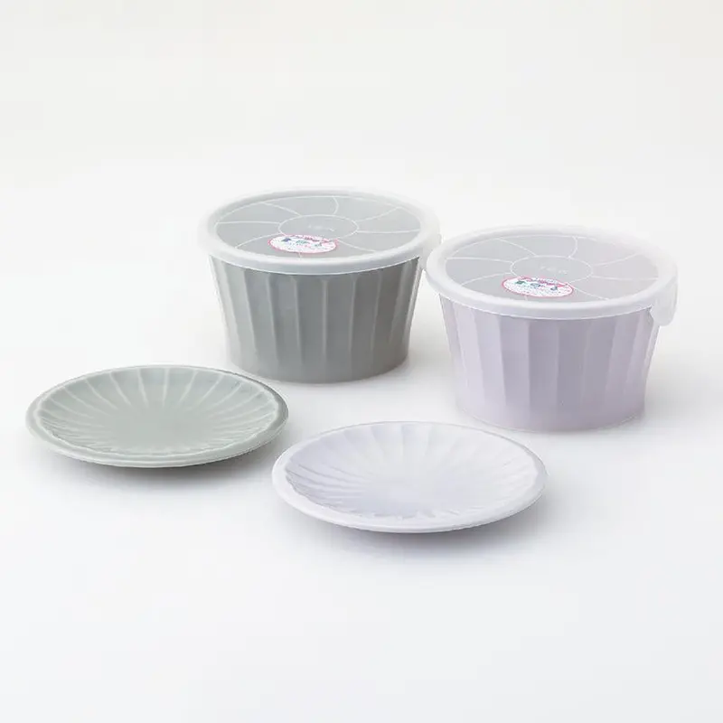 Kikuwari Dish And Bowl Pair – Elegant Hasami Ware Set By Saikai Toki 1