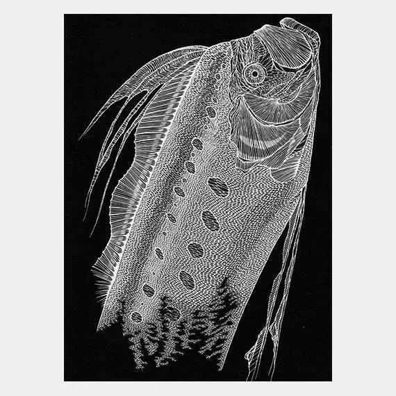Kiriken Oarfish Wall Decor – Intricate Cutout Artwork By Masayo Fukuda 1