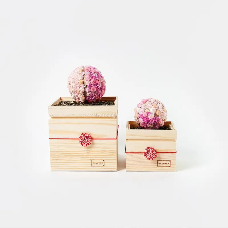 Sakura-Themed Preserved Flower Piece – Chawaka Mari Spring Edition 1