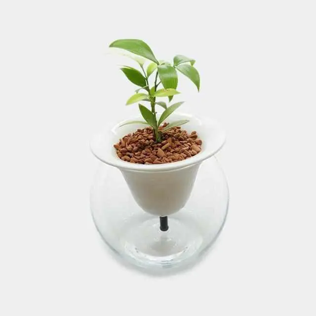 Suisui Automatic Planter By Kyū-Emon – Arita Ware Self-Watering Vase + Glass 1