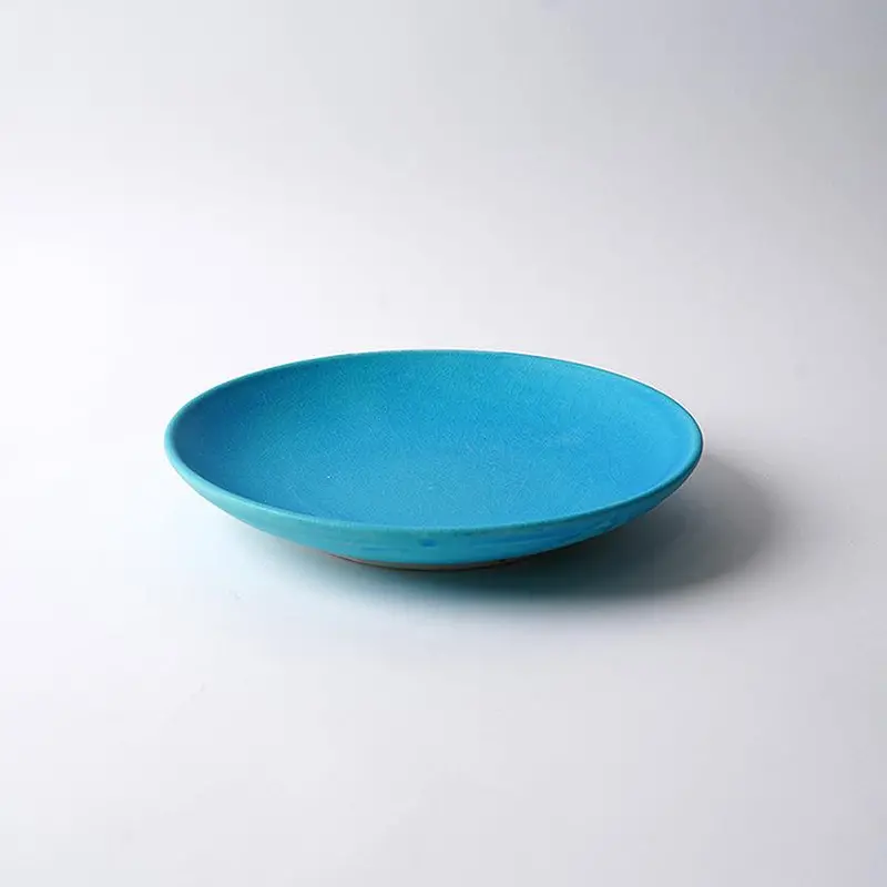 Toruco Shigaraki Ware 22Cm Serving Platter – Handmade Wide-Rim Ceramic Tray 1